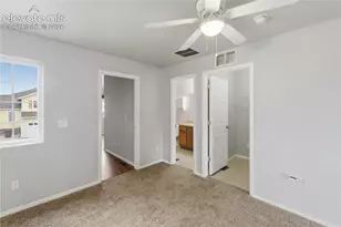 667 Hailey Glenn View, Colorado Springs, CO 80916 - Photo 21