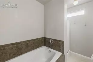 667 Hailey Glenn View, Colorado Springs, CO 80916 - Photo 29