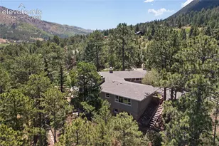 9340 Columbine Trail, Cascade, CO 80809 - Photo 7