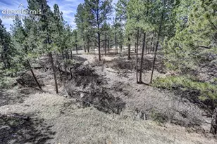 18320 Sloan Ln, Monument, CO 80132 - Photo 39