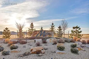 369 Indian Grass St, Calhan, CO 80808 - Photo 49