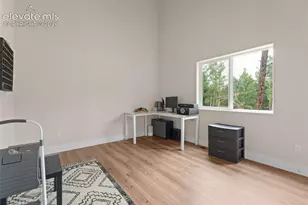 485 Gerka Ln, Florissant, CO 80816 - Photo 21