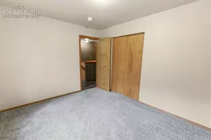 221 S Fairview St, Woodland Park, CO 80863 - Photo 33