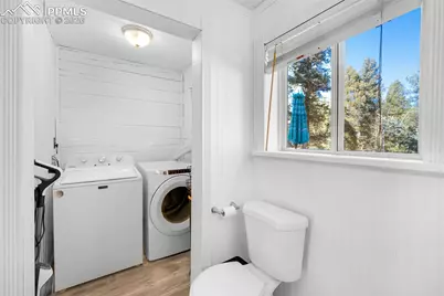1276 Pinewood Road, Florissant, CO 80816 - Photo 13