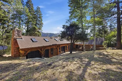 9795 Mountain Road, Cascade, CO 80809 - Photo 49