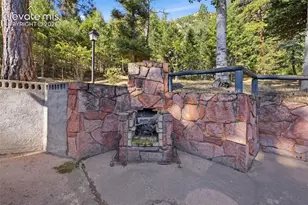 9795 Mountain Rd, Cascade, CO 80809 - Photo 43