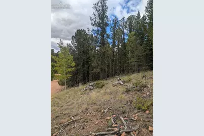2455 Yorktown Road, Cripple Creek, CO 80813 - Photo 35