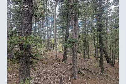 2455 Yorktown Road, Cripple Creek, CO 80813 - Photo 29