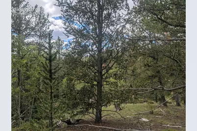 2455 Yorktown Road, Cripple Creek, CO 80813 - Photo 21
