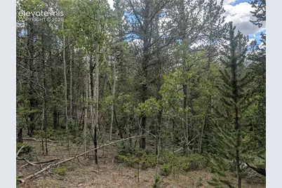 2455 Yorktown Road, Cripple Creek, CO 80813 - Photo 19