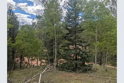 2455 Yorktown Road, Cripple Creek, CO 80813 - Photo 13