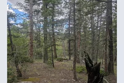 2455 Yorktown Road, Cripple Creek, CO 80813 - Photo 31