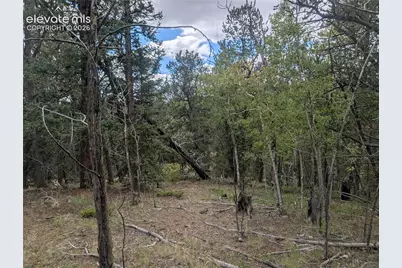 2455 Yorktown Road, Cripple Creek, CO 80813 - Photo 33