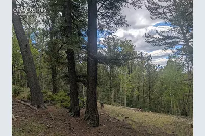 2455 Yorktown Road, Cripple Creek, CO 80813 - Photo 27