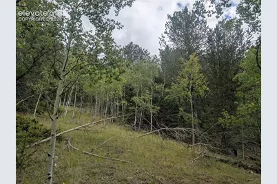 2455 Yorktown Road, Cripple Creek, CO 80813 - Photo 5