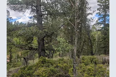 2455 Yorktown Road, Cripple Creek, CO 80813 - Photo 15