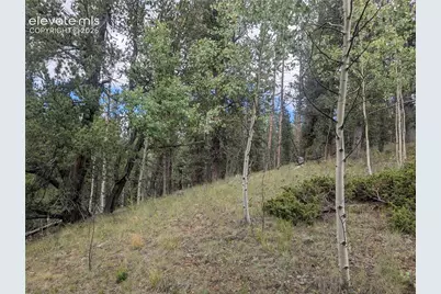 2455 Yorktown Road, Cripple Creek, CO 80813 - Photo 11