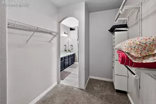 10646 Abrams Dr, Colorado Springs, CO 80925 - Photo 21