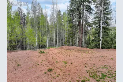 416 Willow Road, Divide, CO 80814 - Photo 9