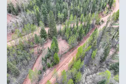 416 Willow Road, Divide, CO 80814 - Photo 5