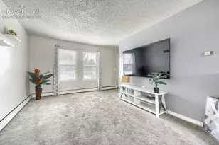 1173 Willow Bend Cir, Colorado Springs, CO 80918 - Photo 3