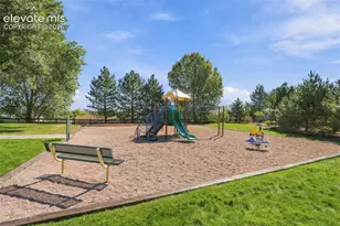 7695 Whiptail Point, Colorado Springs, CO 80922 - Photo 41