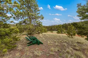 996 Spring Valley Dr, Divide, CO 80814 - Photo 5