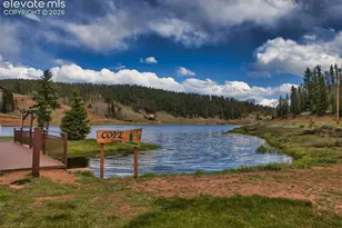 996 Spring Valley Dr, Divide, CO 80814 - Photo 41