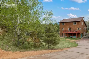 996 Spring Valley Dr, Divide, CO 80814 - Photo 7