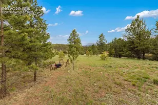 996 Spring Valley Dr, Divide, CO 80814 - Photo 35