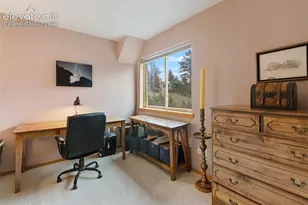 996 Spring Valley Dr, Divide, CO 80814 - Photo 29