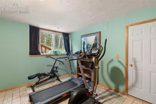996 Spring Valley Dr, Divide, CO 80814 - Photo 33