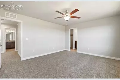7201 Alpine Daisy Drive, Colorado Springs, CO 80925 - Photo 23