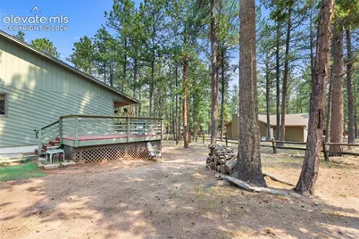 723 Pine Street, Woodland Park, CO 80863 - Photo 43
