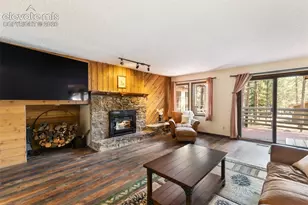 723 Pine St, Woodland Park, CO 80863 - Photo 13