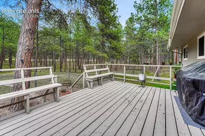 14225 Ponderosa Road, Colorado Springs, CO 80908 - Photo 15