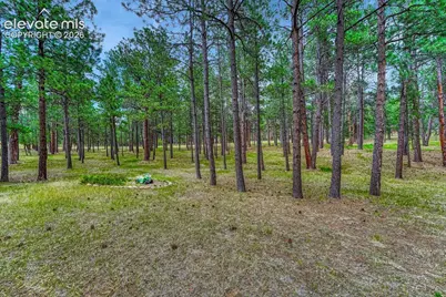 14225 Ponderosa Road, Colorado Springs, CO 80908 - Photo 19