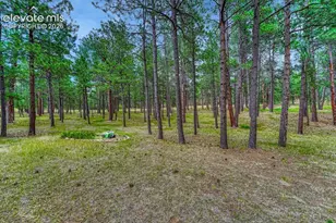 14225 Ponderosa Rd, Colorado Springs, CO 80908 - Photo 19