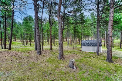 14225 Ponderosa Road, Colorado Springs, CO 80908 - Photo 17