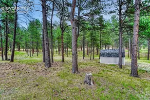 14225 Ponderosa Rd, Colorado Springs, CO 80908 - Photo 17
