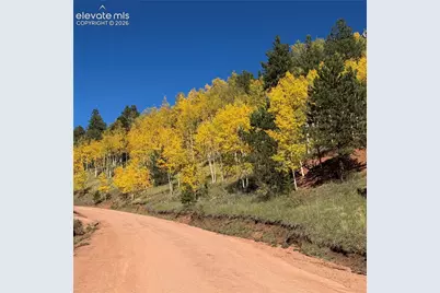 200 Beaver Pond Road, Divide, CO 80814 - Photo 17