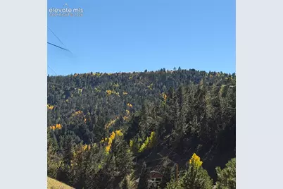 200 Beaver Pond Road, Divide, CO 80814 - Photo 15