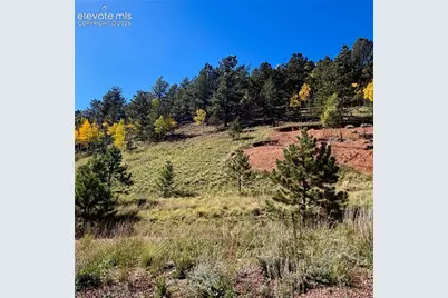 200 Beaver Pond Road, Divide, CO 80814 - Photo 3