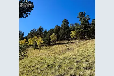 200 Beaver Pond Road, Divide, CO 80814 - Photo 13