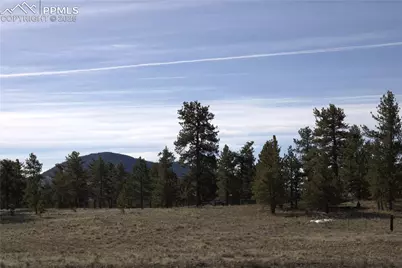2450 Antelope Lane, Guffey, CO 80820 - Photo 7