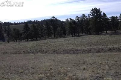2450 Antelope Lane, Guffey, CO 80820 - Photo 5