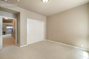 3605 Cherry Plum Dr, Colorado Springs, CO 80920 - Photo 45