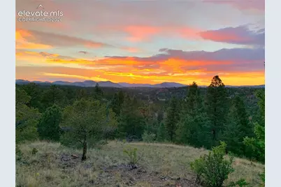 986 Apache Road, Florissant, CO 80816 - Photo 3
