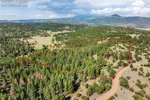 986 Apache Rd, Florissant, CO 80816 - Photo 49