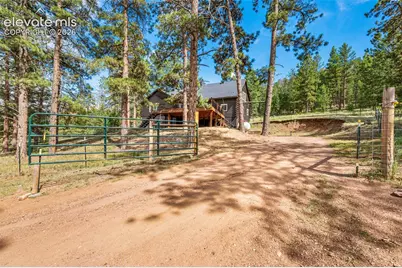 986 Apache Road, Florissant, CO 80816 - Photo 43